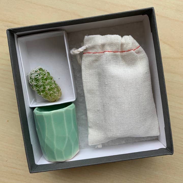 Kit Mini Cactus - vero cactus e vaso in ceramica verde fatto a mano per la vendita all'ingrosso da parte di Spalted Home