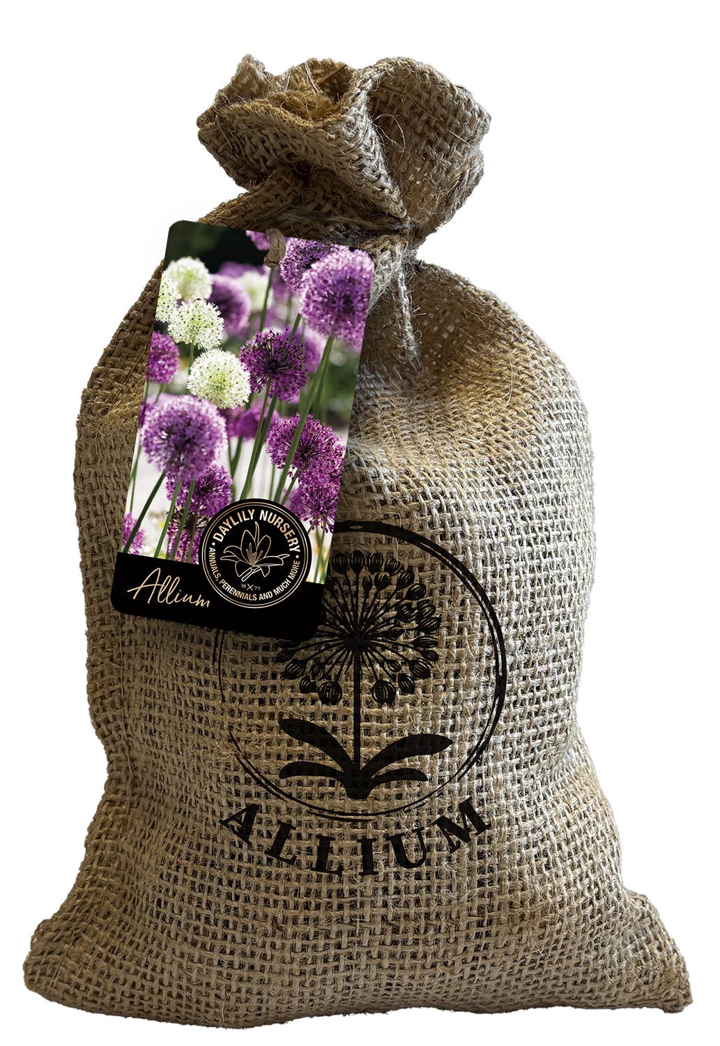 Let 'Em Bloom - Wholesale Plant Seeds - 20 Allium Mix in Custom Burlap Bag