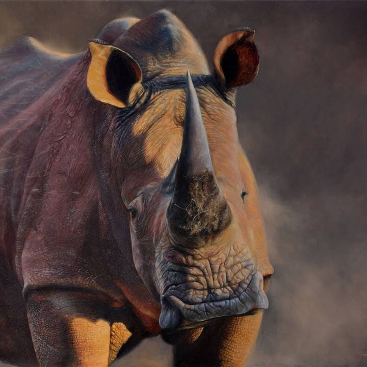 Roger - African White Rhino Wildlife Animal Canvas Art Print for wholesale by James Corwin Fine Art
