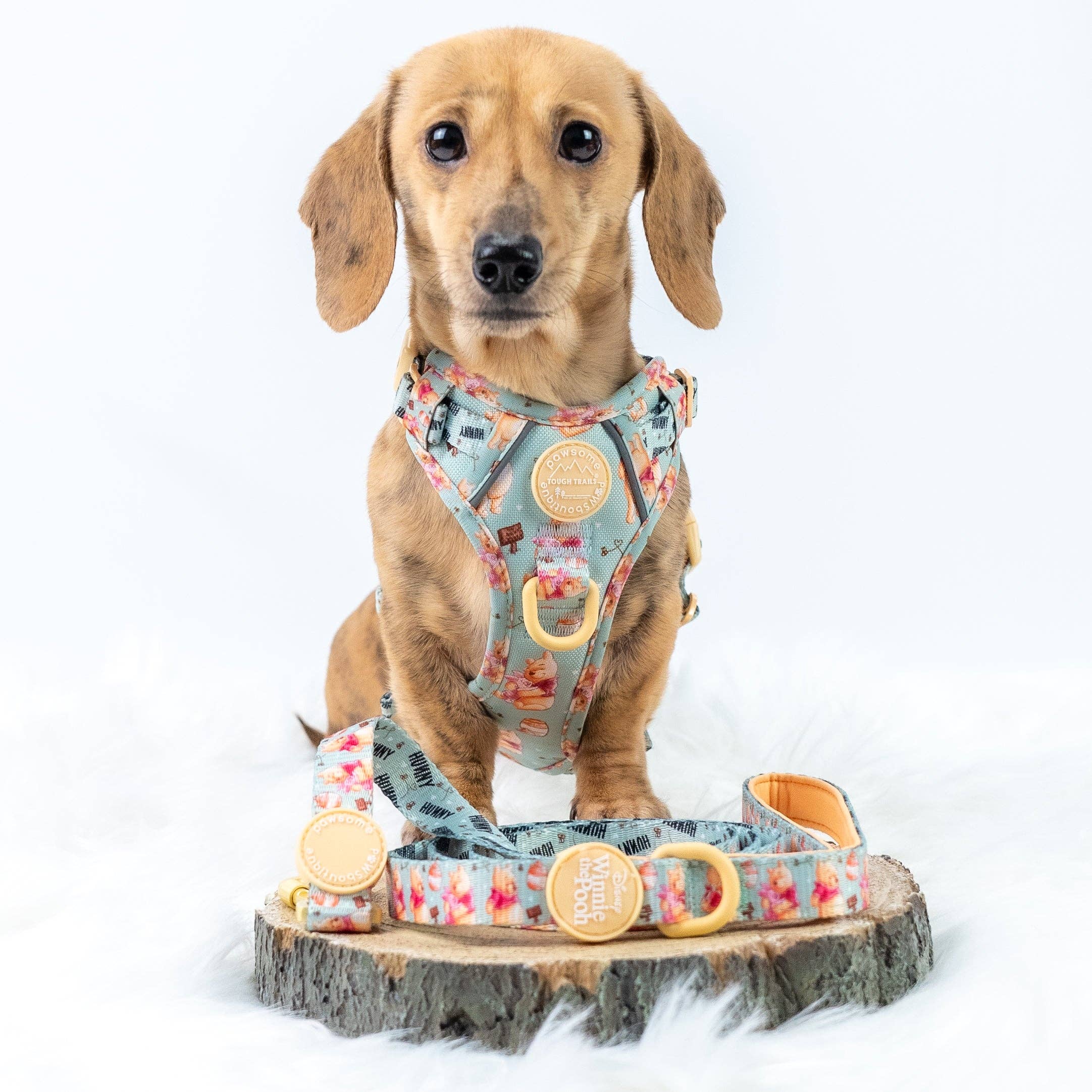 Pawsome Paws - Wholesale Pet Leash - Dog - Disney© Lead - Winnie the Pooh6