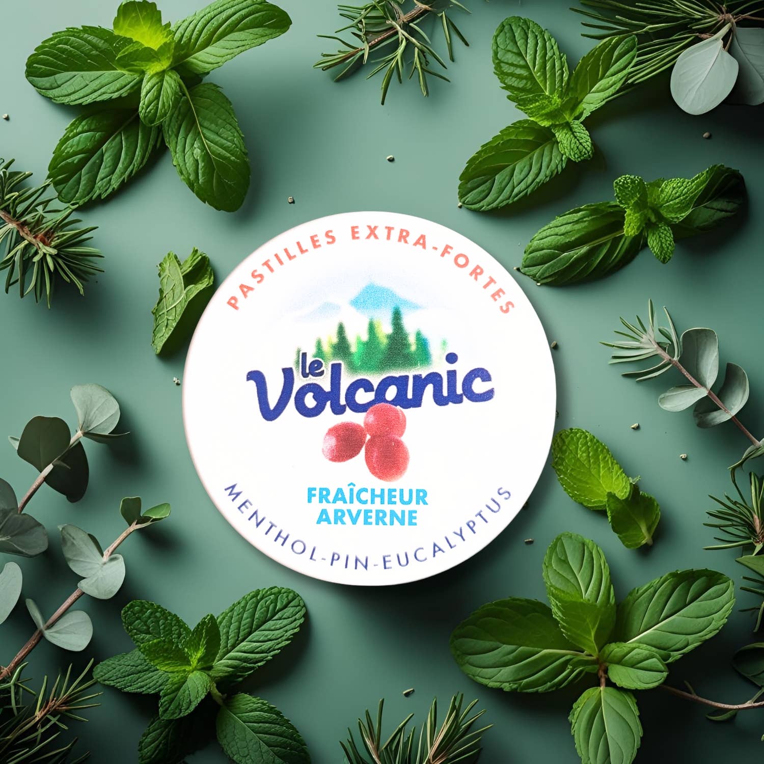 Bonbon-France - Wholesale Hard Candy - Le Volcanic Pine Candies - Eucalyptus -1