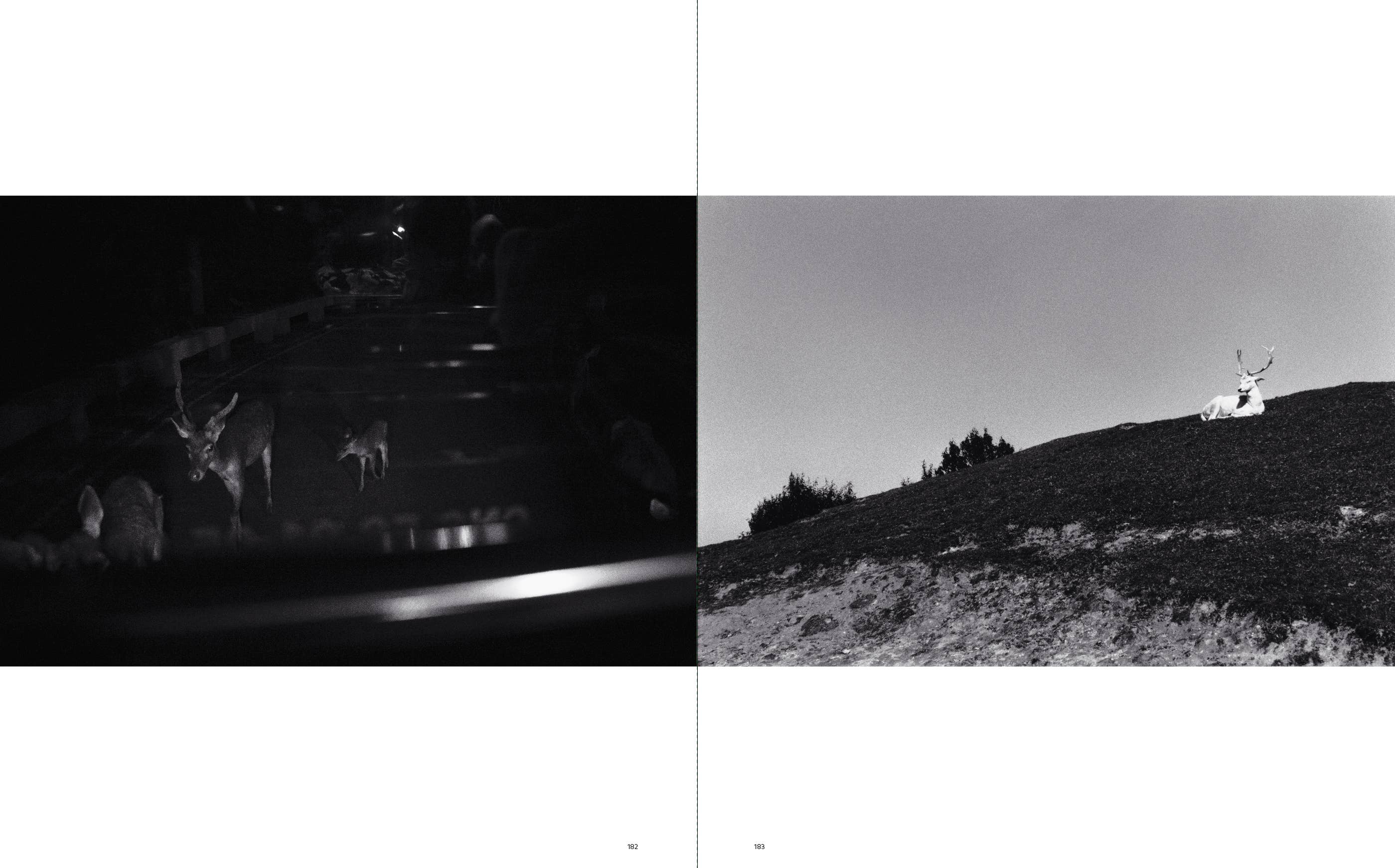 Penguin Random House LLC - Wholesale Display Book - Sakiko Nomura12