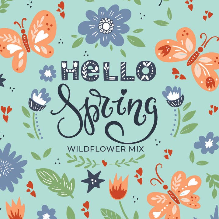 Bentley Seed Co. - Wholesale Plant Seeds - Hello Spring Blue Background - Wildflower Mix Seed Packets