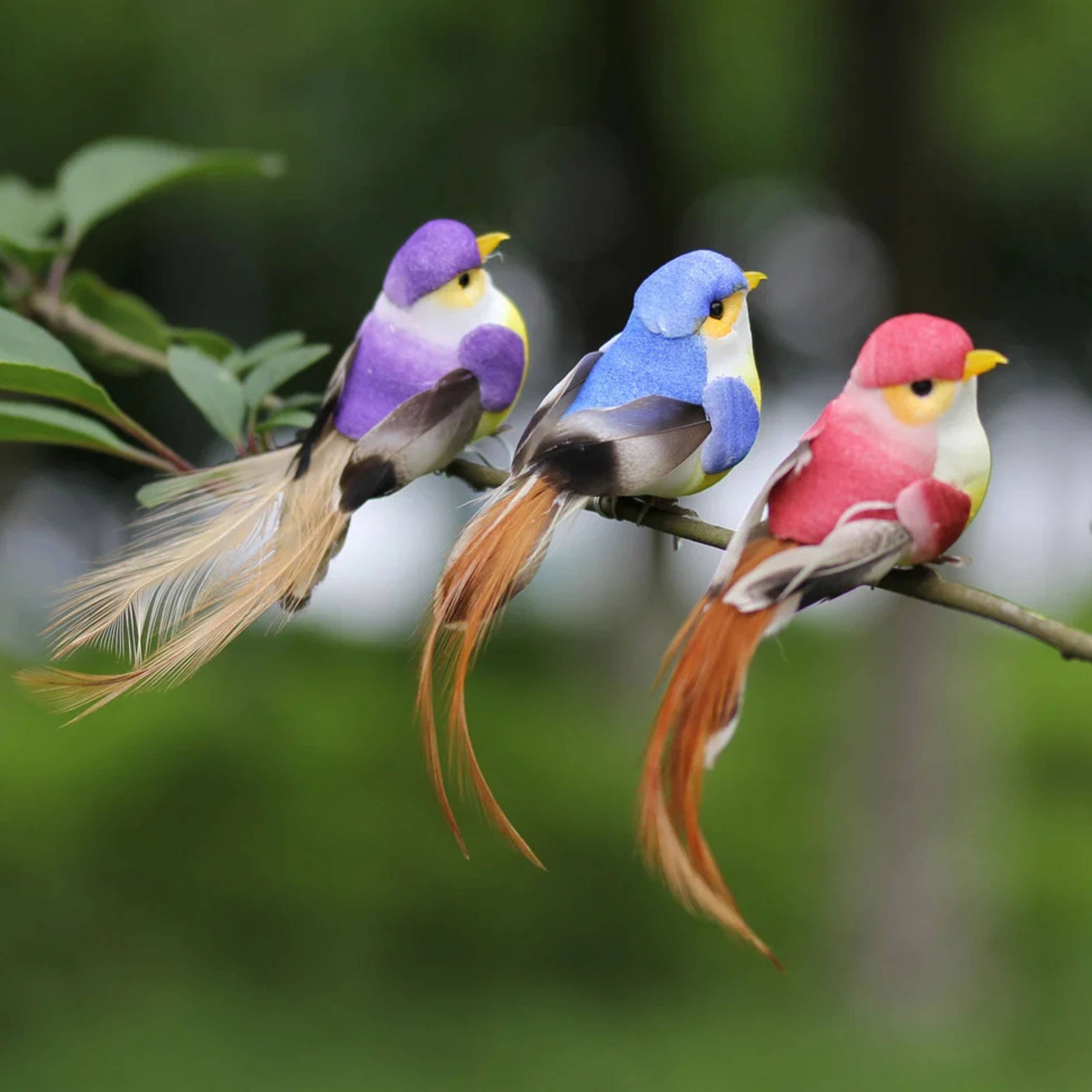 Buddha Ayurveda - Wholesale Sculpture - Handcraft Parrot Birds Model For Home Decor 2