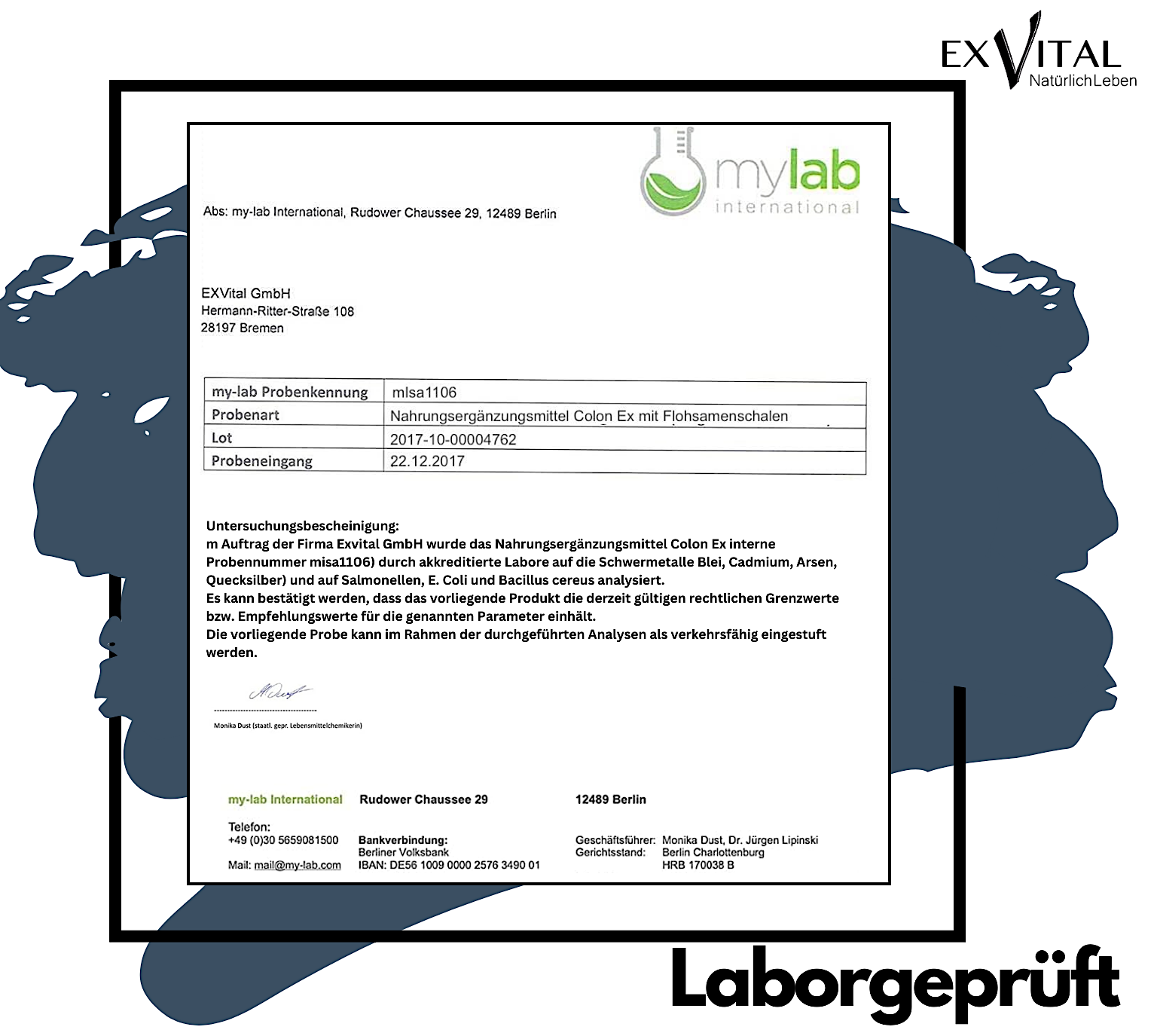 EXVital - Vendita all'ingrosso Vitamine/integratori orali - Colon Ex, 90 capsule di qualità premium con bucce di psillio7