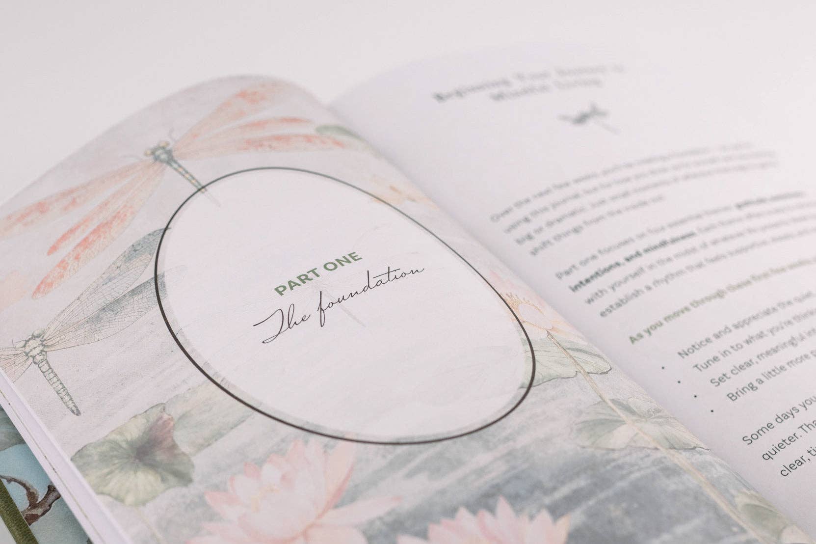 Innerlight Compass – wholesale Journal och dagbok – Daglig guidad dagbok med målarbilder9