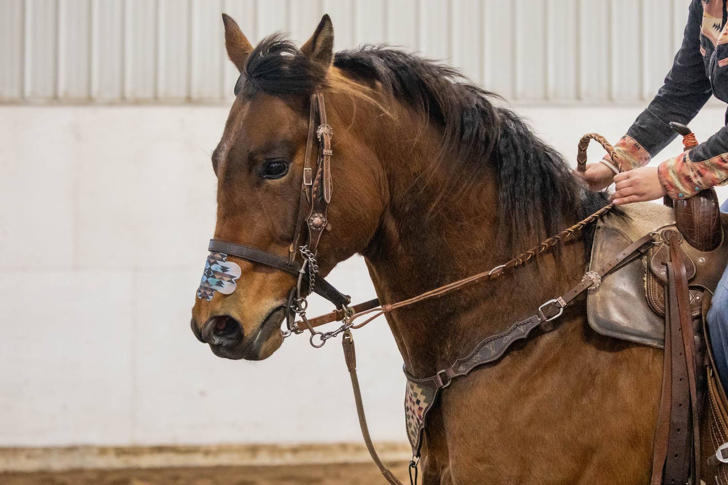 EquiBreathe™ - Wholesale Horseback Riding Gear - EquiBreathe™ Equine Nasal Patch - Aztec13