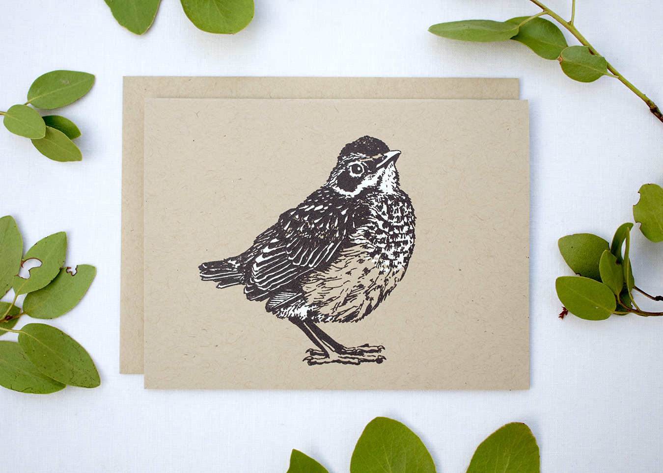 Farm and Finch Creative - Wholesale Everyday Greeting Card - Robin Fledgeling Card0