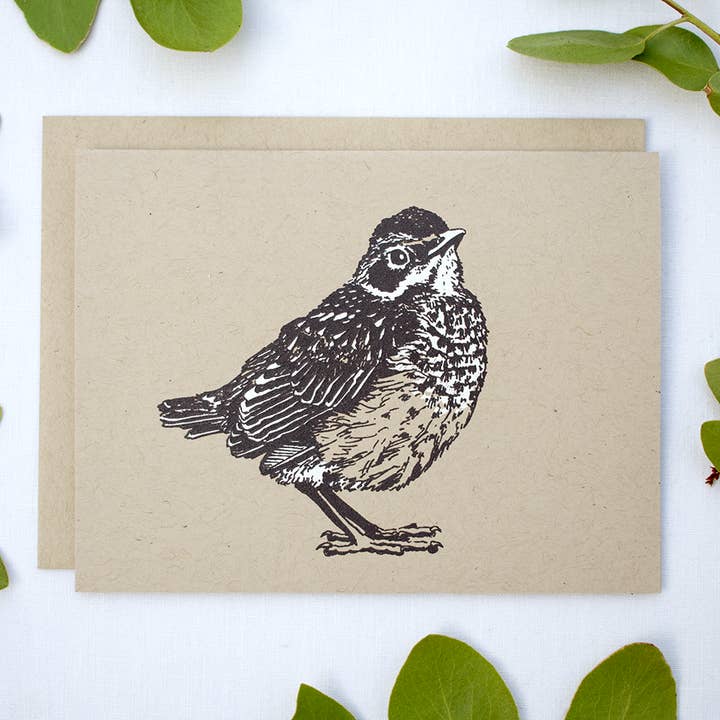 Farm and Finch Creative - Wholesale Everyday Greeting Card - Robin Fledgeling Card