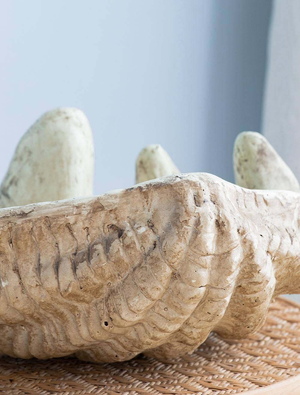 A&B Home Group Inc. - Wholesale Decorative Tabletop Object - Medium Clam Shell Accent3