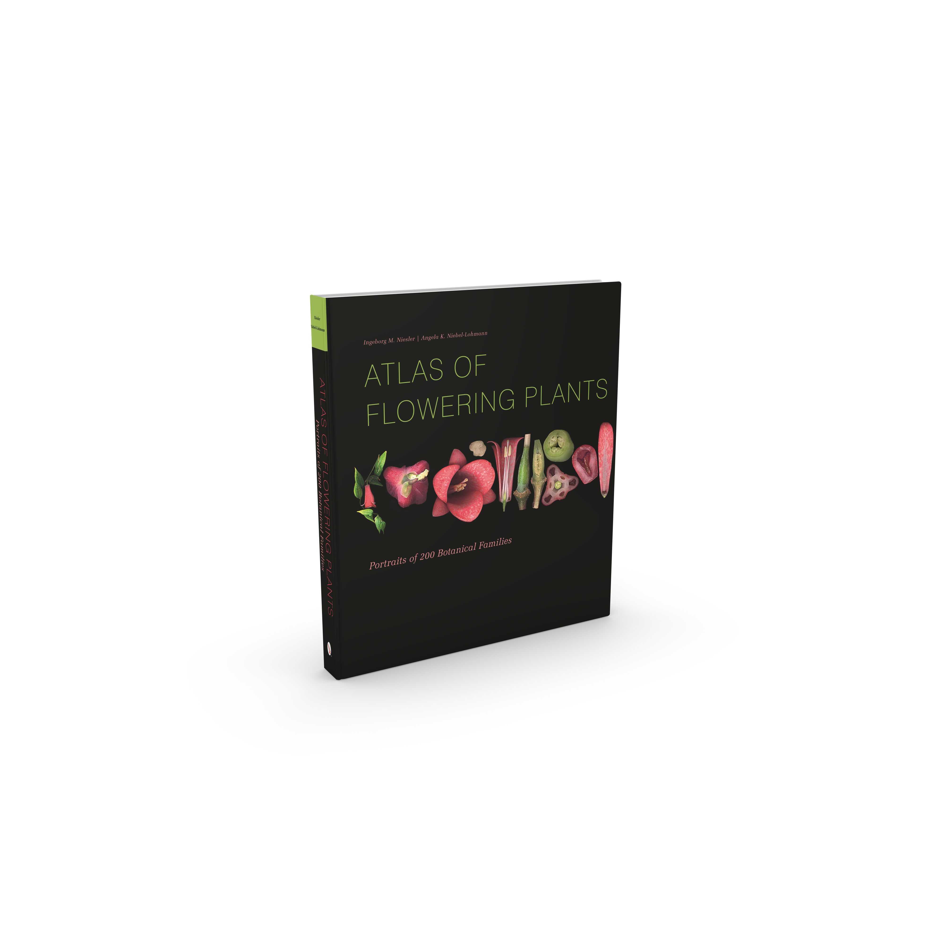 Schiffer Publishing - Vente Nature & Outdoors - Atlas des plantes à fleurs1