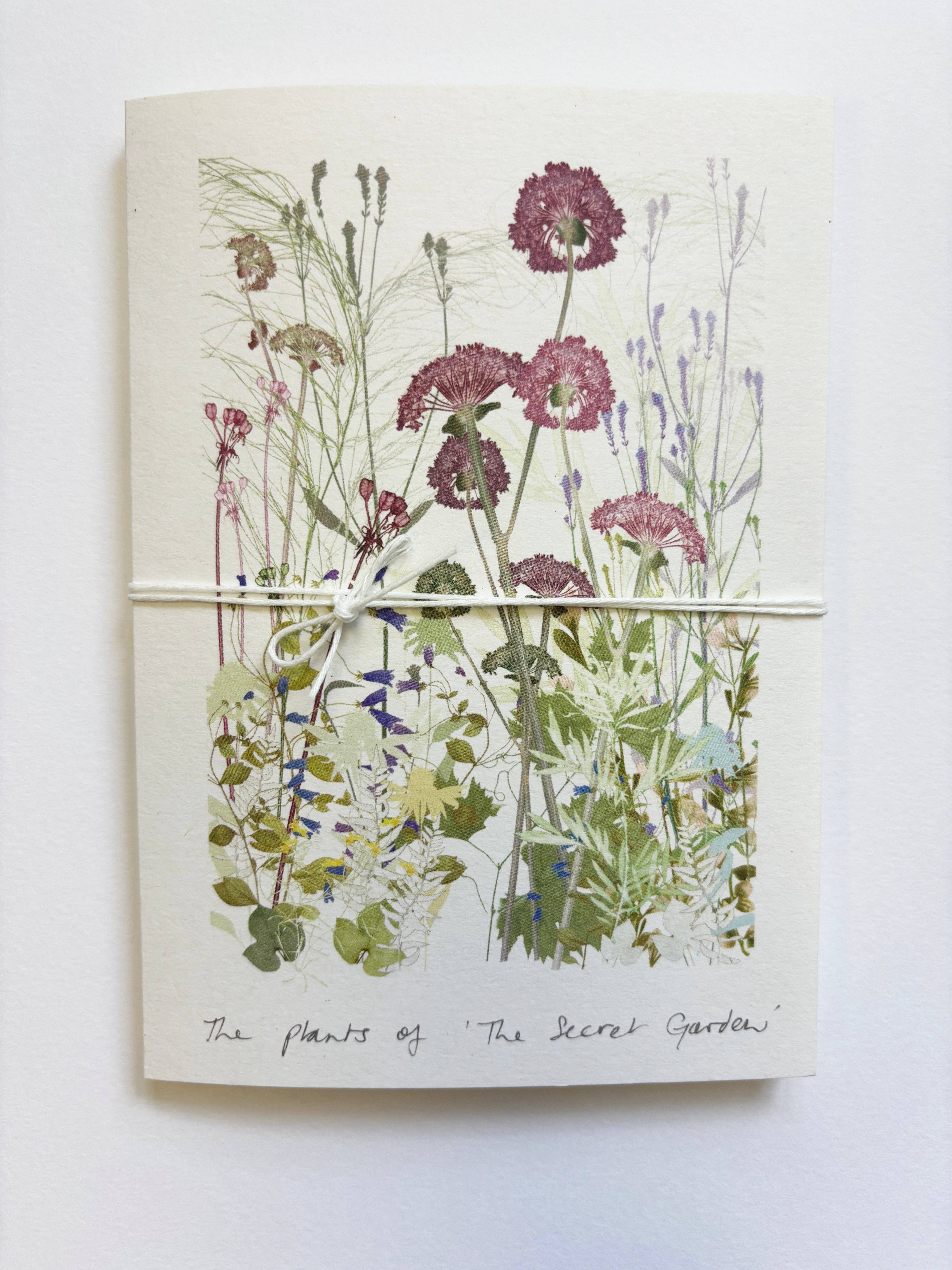 Amanda Ross - Wholesale Nature & Outdoors - 'The Secret Garden' Concertina Book1