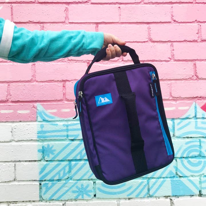 Arctic Zone Expandable Lunch Pack for wholesale by Mini Hippo