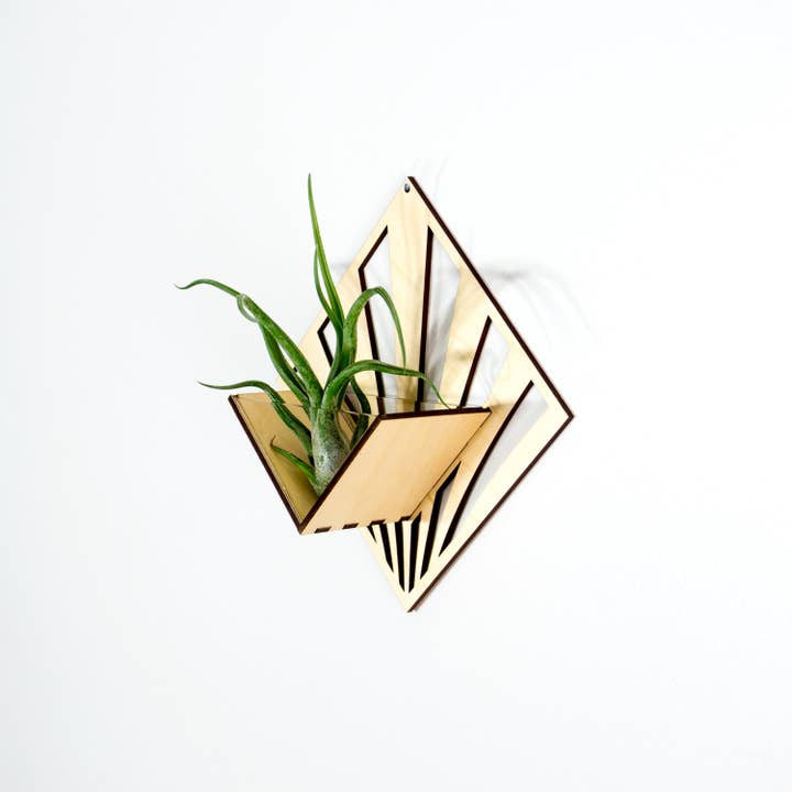 LIGHT RAZOR DESIGN STUDIO - Wholesale Wall planter - Air Plant Holder / Quadrate Wall Hanging Planter 296