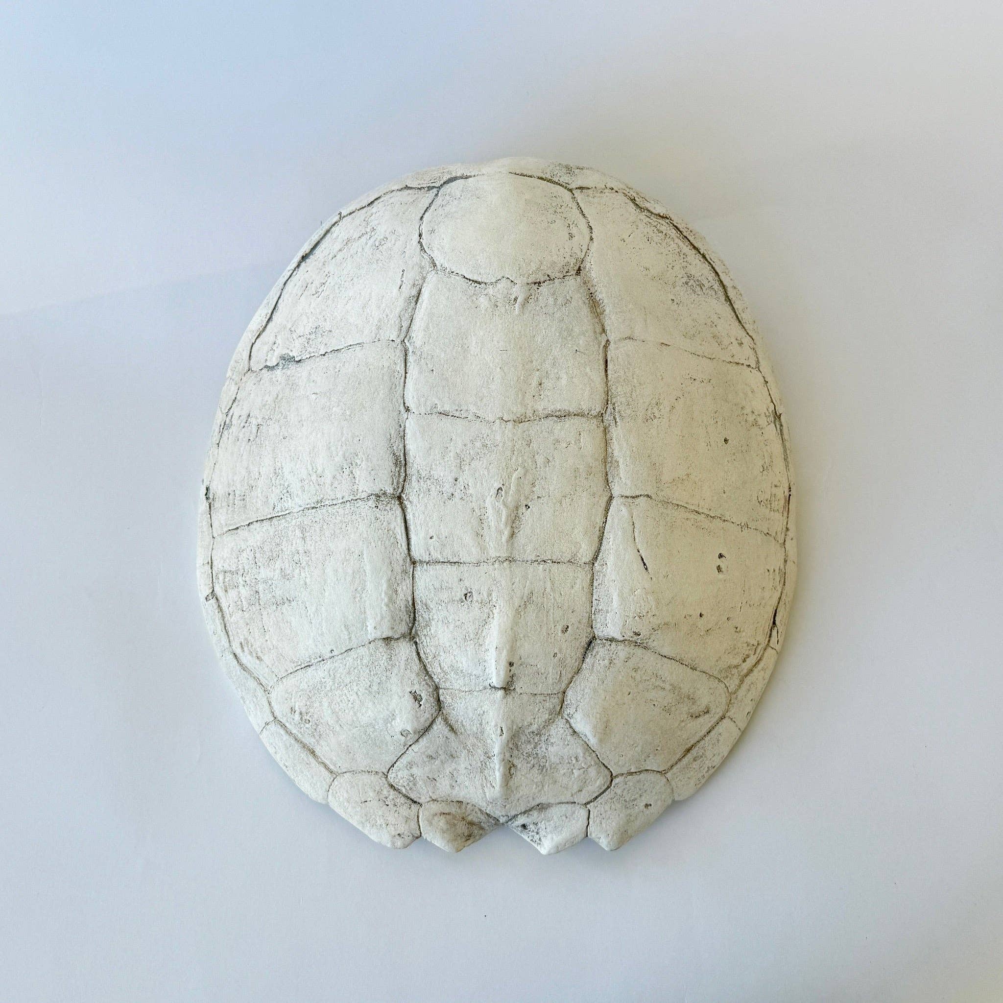 House Parts, Inc. - Wholesale Wall Accent - Sea Turtle Shell0
