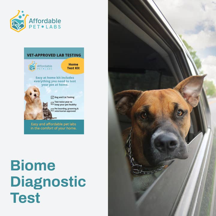 Kit Easy Home : test diagnostique abordable du biome Pet Labs pour chiens (Doggy Biome) pour la vente par Affordable Pet Labs