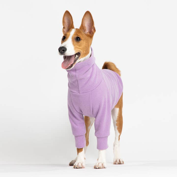 Buttercup - Lavender for wholesale by PEBOT