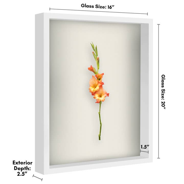 Americanflat - Wholesale Picture Frame - Americanflat Shadow Box Frame with Soft Felt Back42