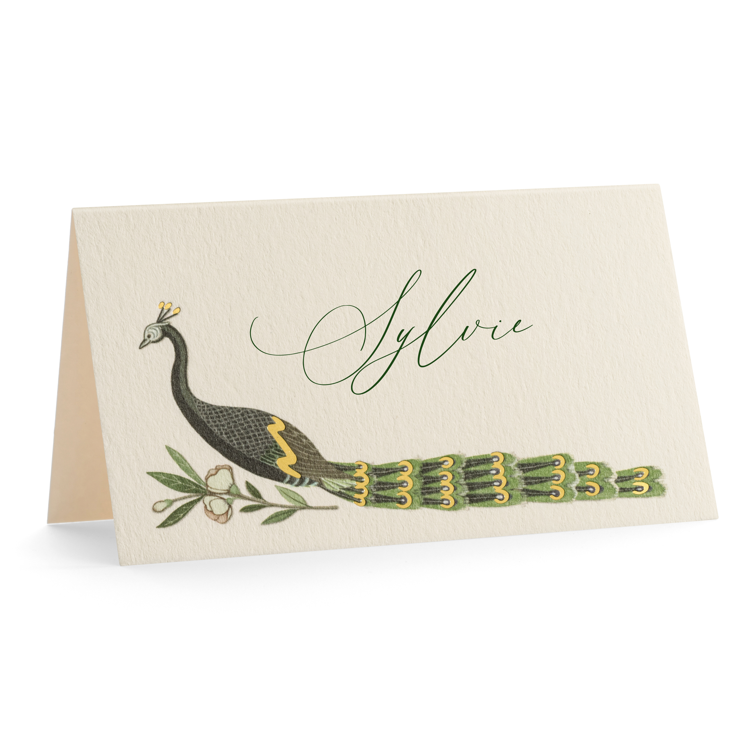 Karen Adams Designs - Wholesale Place Card / Place Holder - Peacock Place Cards1