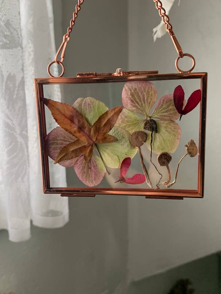 Miniature Pressed Flower & Fungi Windows 3.5"x 2.5" for wholesale by Twig and Snip