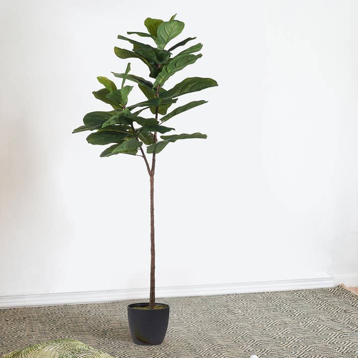 A&B Home Group Inc. - Wholesale Artificial plant - 25.5x16x59" Fiddle-Leaf Fig Tree0