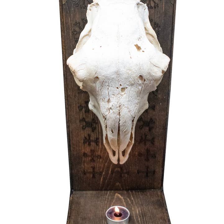 Sheep Skull Altar with Repeating Nine Helms for wholesale by Oreamnos Oddities