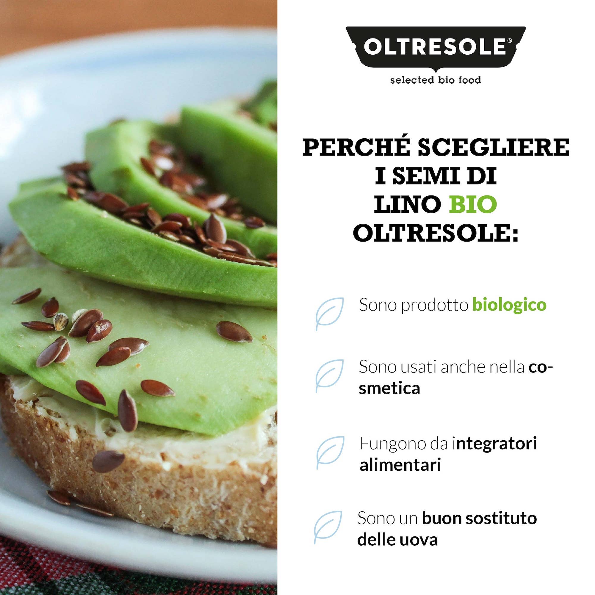 Oltresole - Wholesale Seeds/Kernels - ORGANIC FLAXSEEDS 3 Kg5