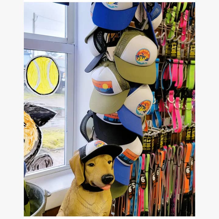 PupLid - Wholesale Pet Hat - Dog - Dog Model + Extra PupLid for Display