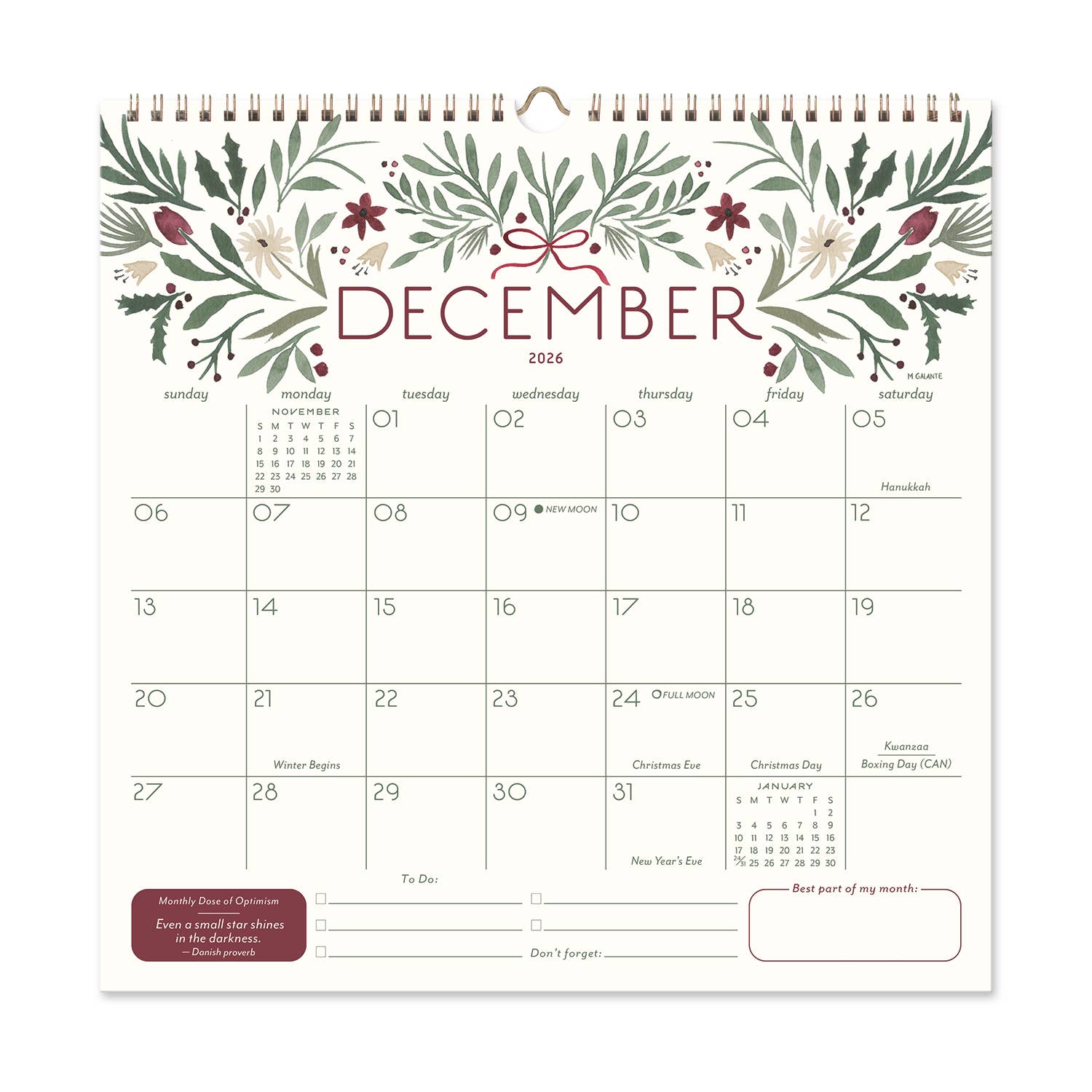 Seedlings - Wholesale Calendar - 2026 Seedlings Garden Party 12 Month Classic Grid Calendar24