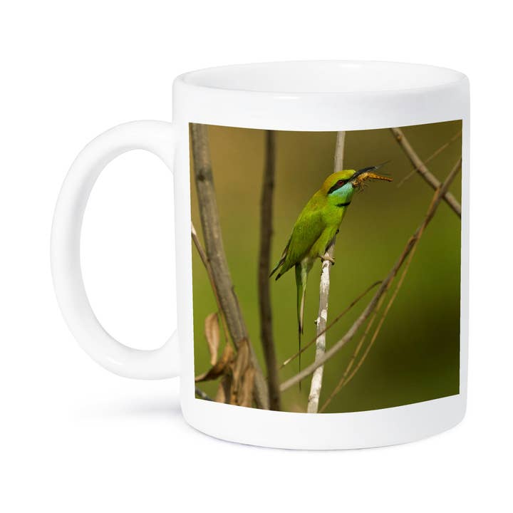 3dRose - Wholesale Coffee Mug - 3dRose, Kanha, Little Green Bee-eater bird - AS10 JMC0011 - Joe and Mary Ann McDonald, Mug8