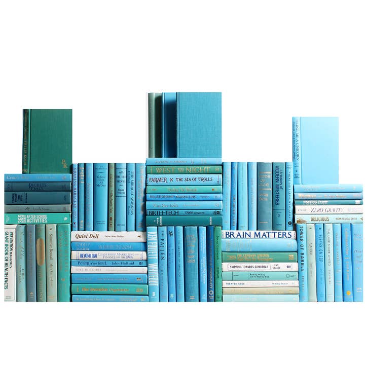 Decorative Blue Books - Ocean Wall - Set of 75 for wholesale by Booth & Williams