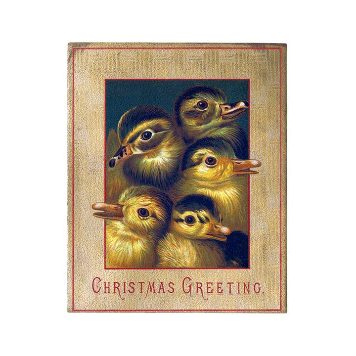 Laughing Elephant - Wholesale Postcard - We Wish You a Crazy Christmas Postcard Book - Postcards25