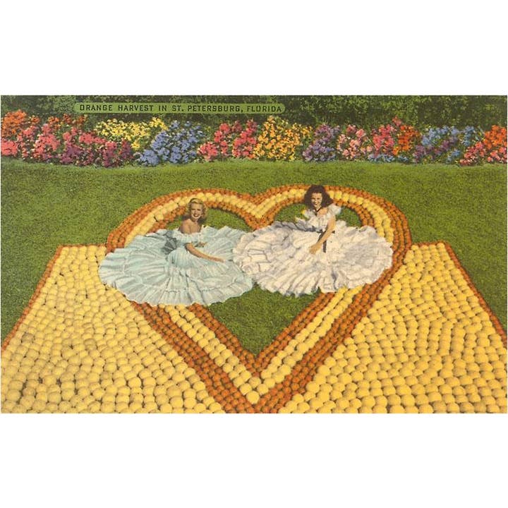 Found Image Press - Vendita all'ingrosso Calamite - Magnete FL-842 Southern Belles, Arance, St. Petersburg, Flor