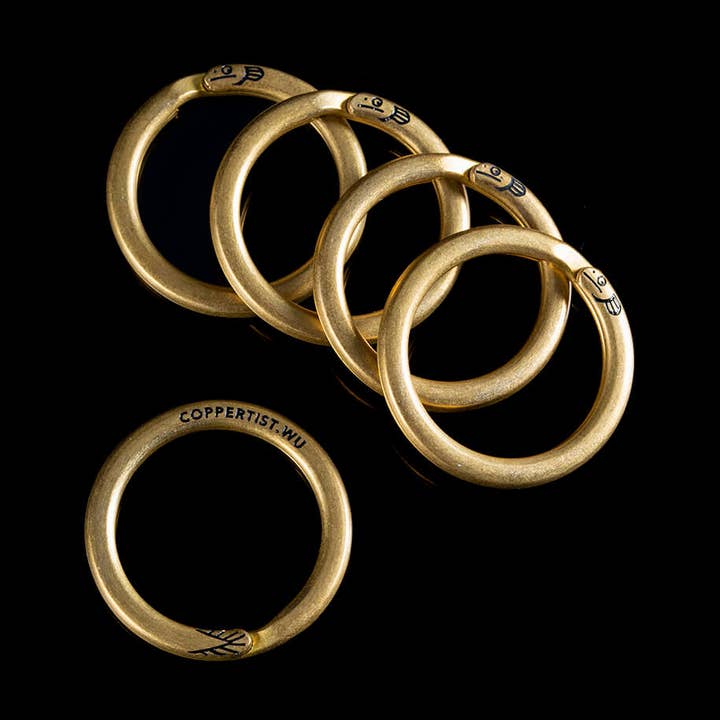 Portachiavi elettrico Eel 5 pezzi per la vendita all'ingrosso da parte di Coppertist.wu