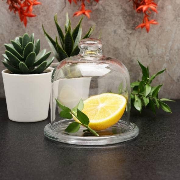 Hakan - Vendita all'ingrosso Contenitori per alimenti - Alzata Mini con Cupola in Vetro per Conservazione Alimenti con Coperchio, 10,4 cm8
