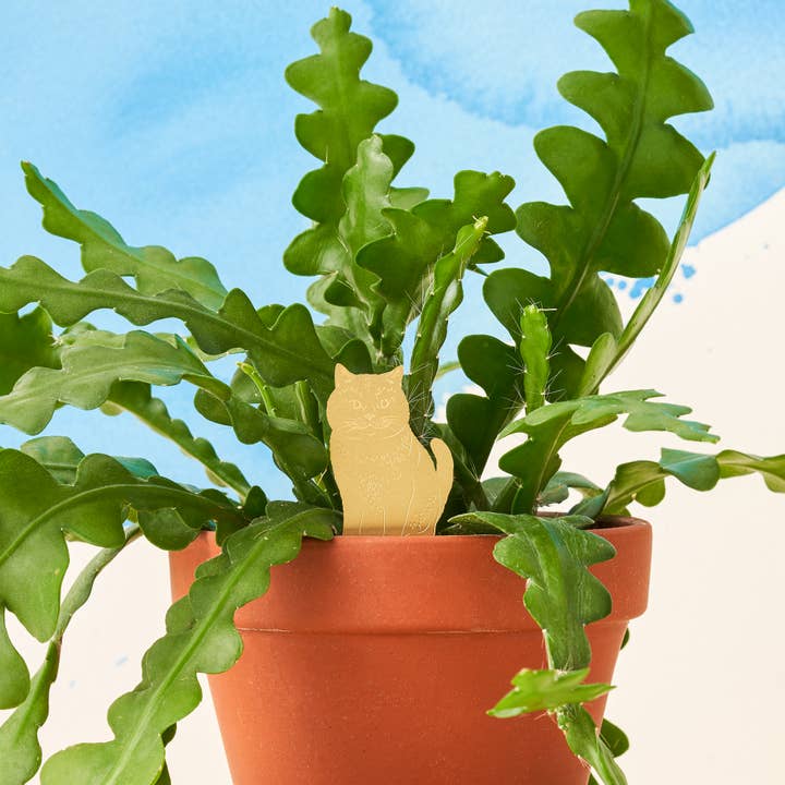 Another Studio - Wholesale Ornament - Cat, Plant Animal Pet, brass houseplant and pot decoration