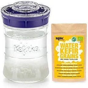 2tech Ltd - Wholesale DIY Food Kit - Kefirko Water KEFIR Kit 848ml with Organic Grains