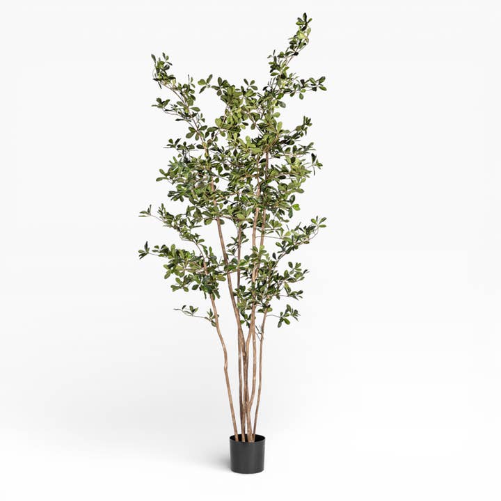8' Black Olive Tree FP1410 for wholesale by Replica Plants and Decor