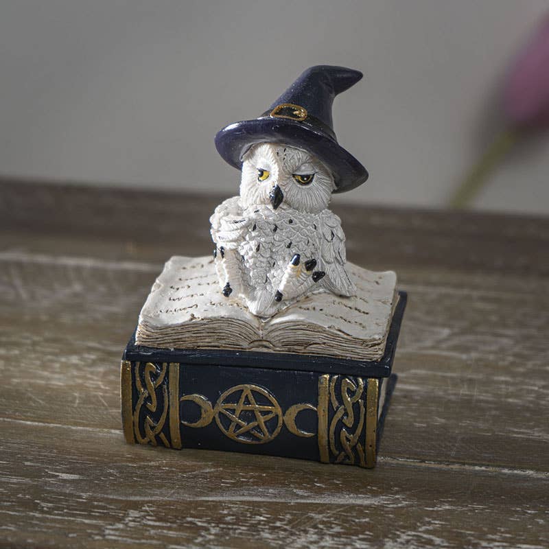 Pacific Trading – Großhandel Dekofigur – Eule auf Zauberbuch0