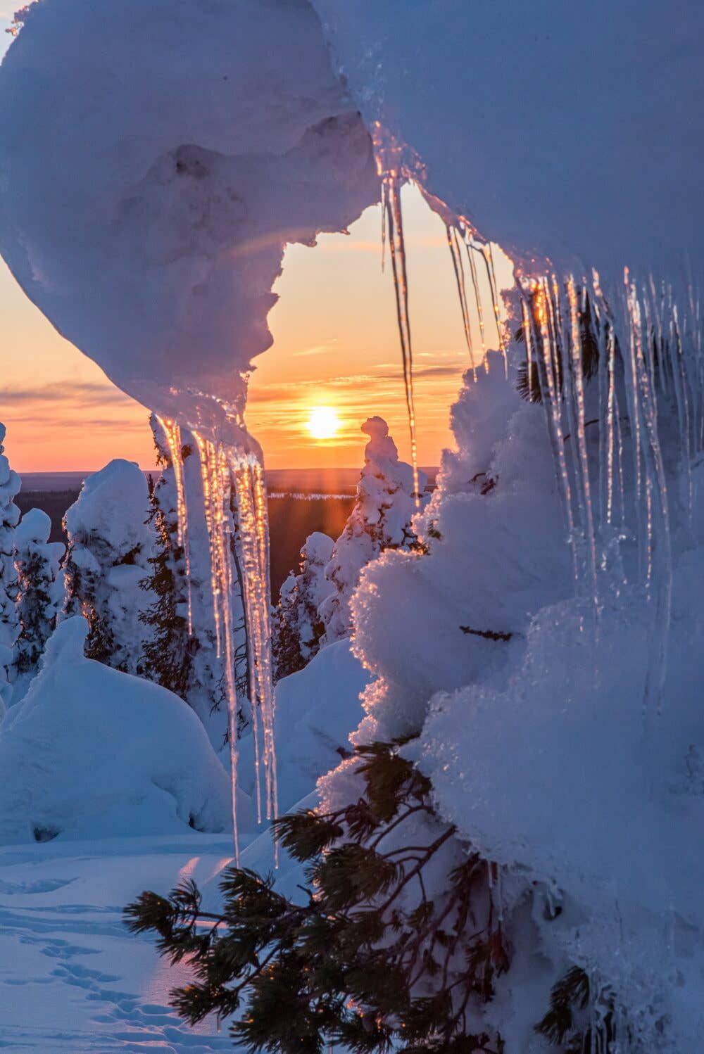 ATELIER B. ATTITUDE - Wholesale Bench - D-Bench 100 Pine/White, Oiled2