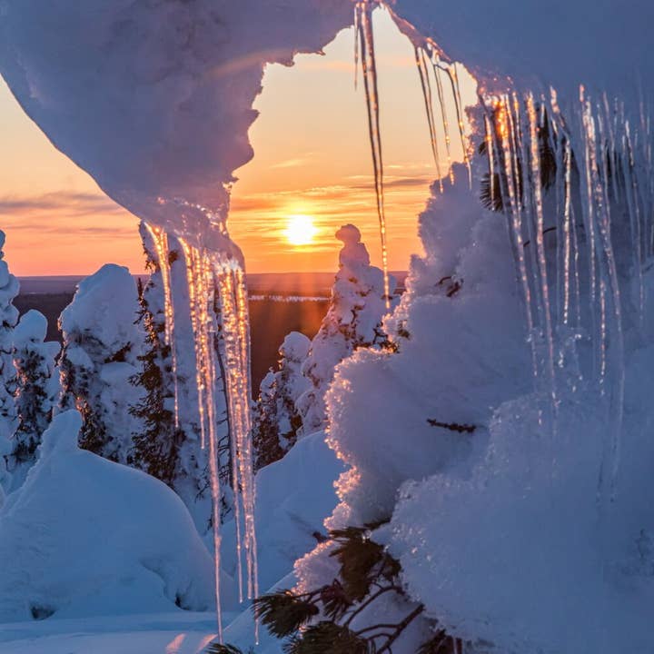 ATELIER B. ATTITUDE - Wholesale Bench - D-Bench 100 Pine/White, Oiled2