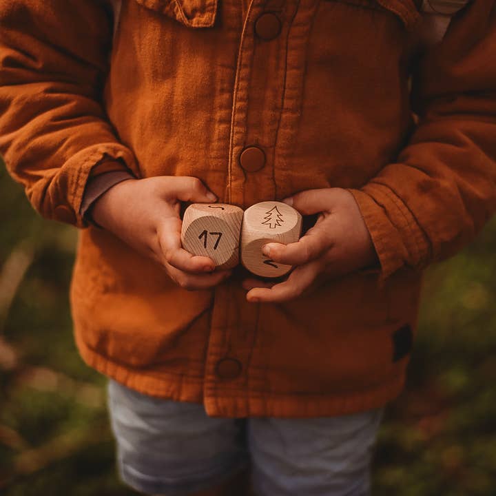 Our Earth Life - Wholesale Dice - Compass Dice2