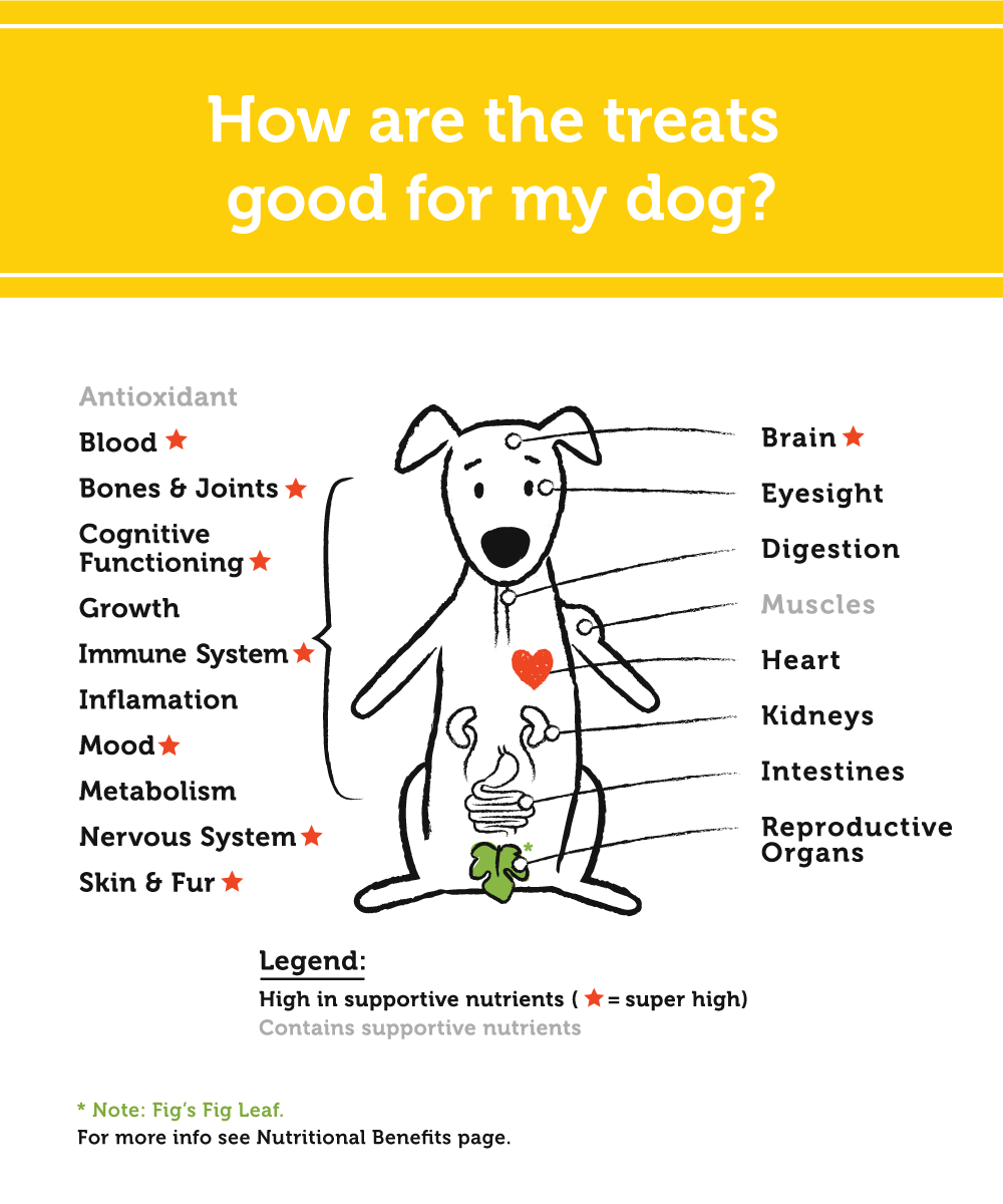 Fig & Tyler - Wholesale Pet Treats - Dog - Whole Chicken Hearts4