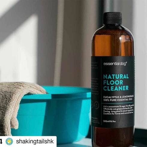 Essential Dog - Wholesale Floor Cleaner - Natural Floor Cleaner (Eucalyptus and Lemongrass)4
