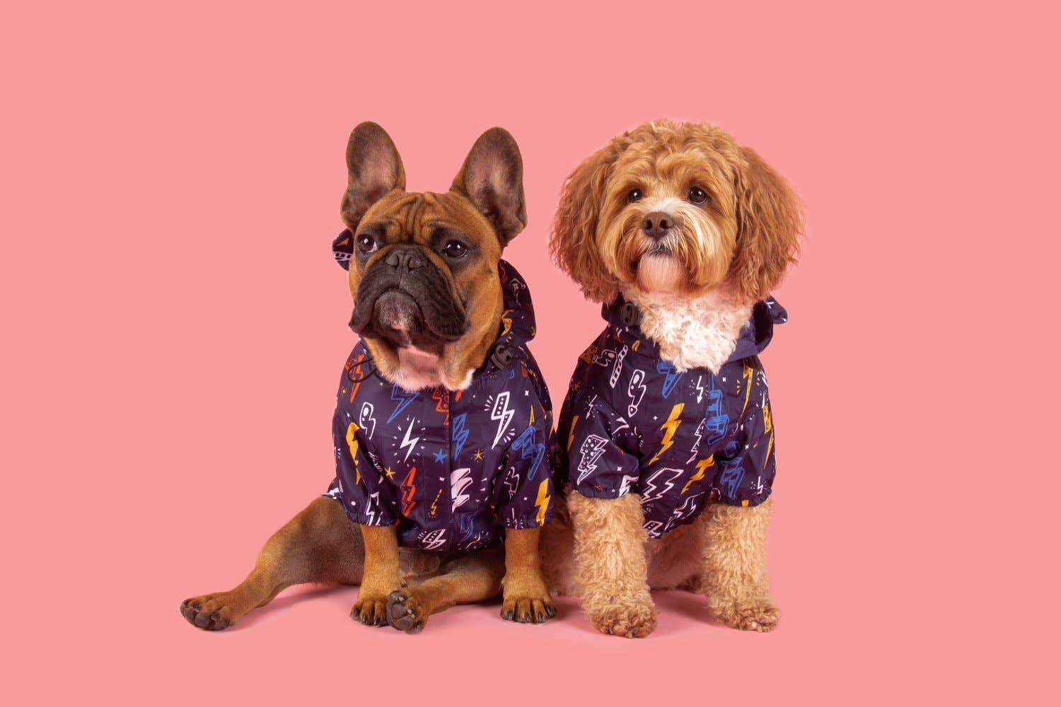Big and Little Dogs - Wholesale Pet Raincoat - Dog - DOG RAINCOAT: Lightning Storm3