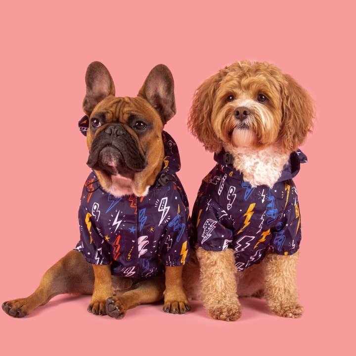 Big and Little Dogs - Wholesale Pet Raincoat - Dog - DOG RAINCOAT: Lightning Storm3