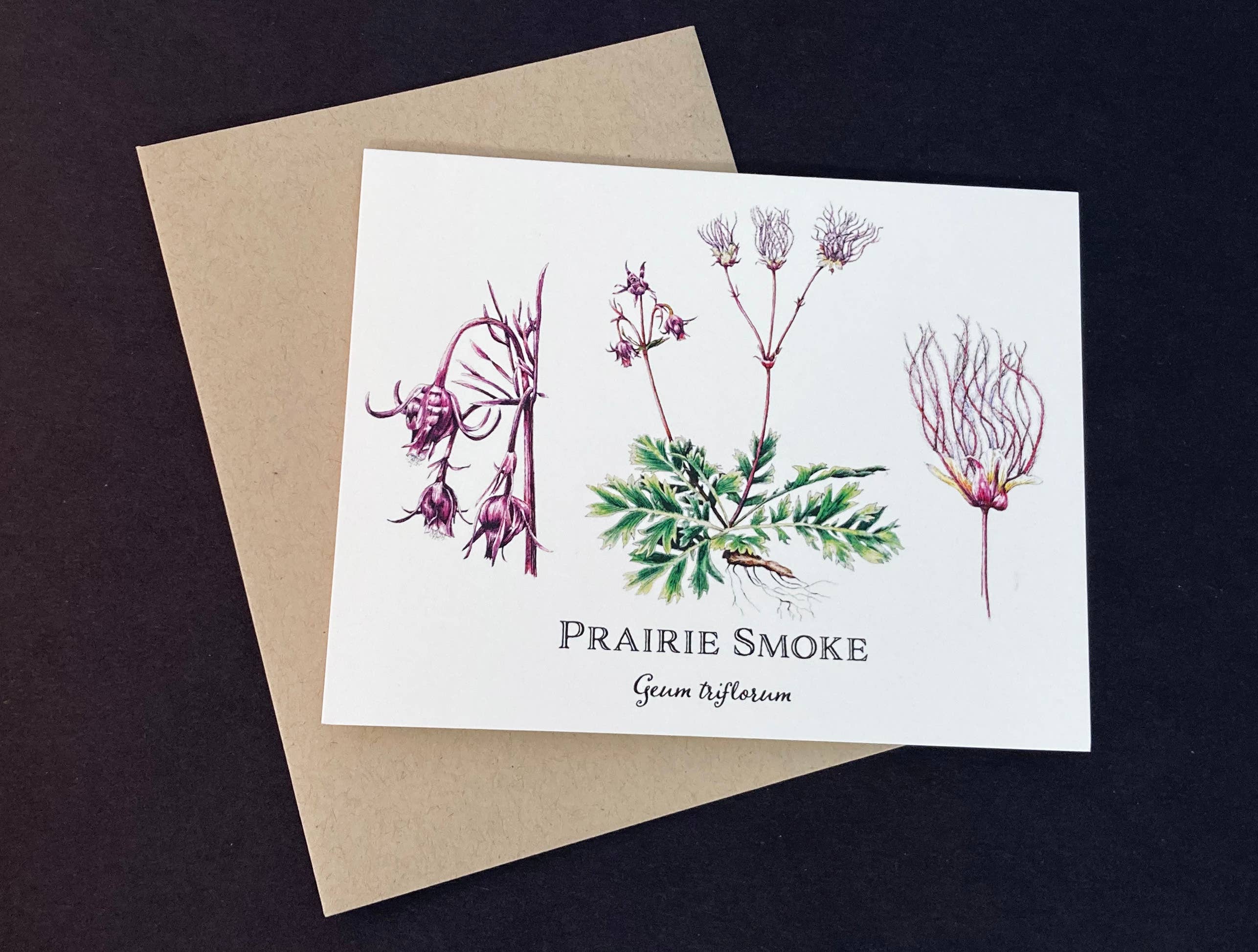 Madrona Press - Wholesale Everyday Greeting Card - Wildflower Card Set - 8 assorted flowers11