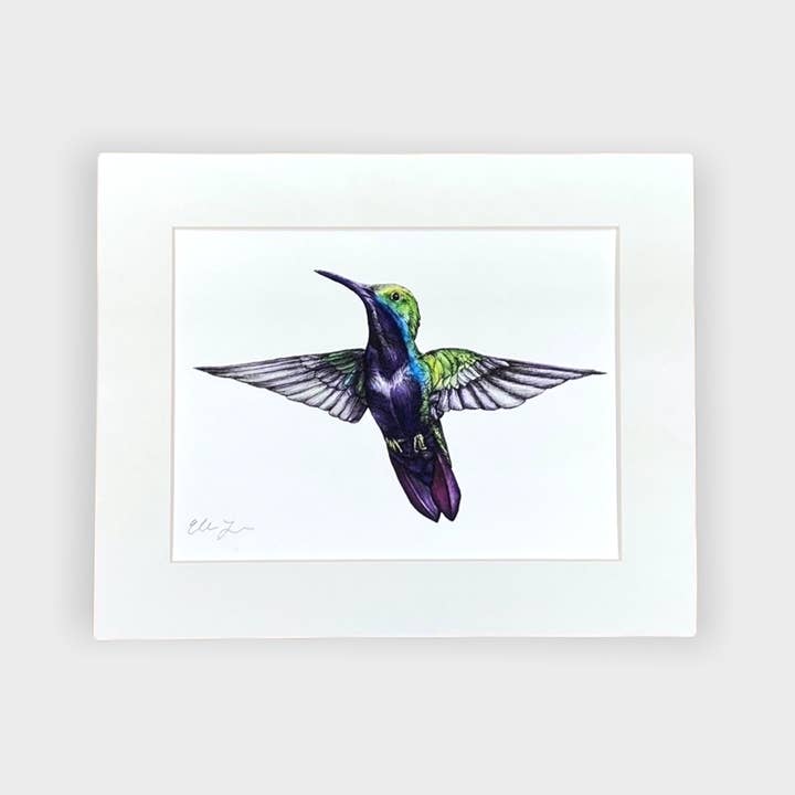 Hummingbird 8x10 Matted Print for wholesale by Elena Johnson Art