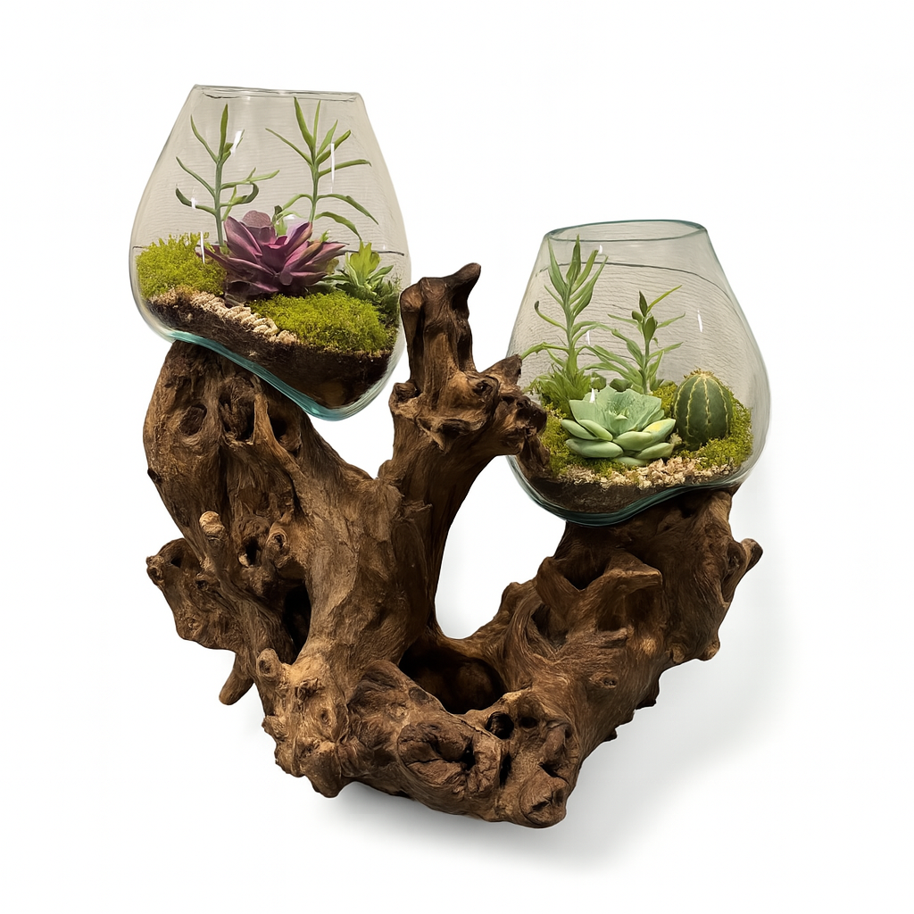 Asia West - Wholesale Terrarium - Double Terrarium-Molten Glass on Wood3