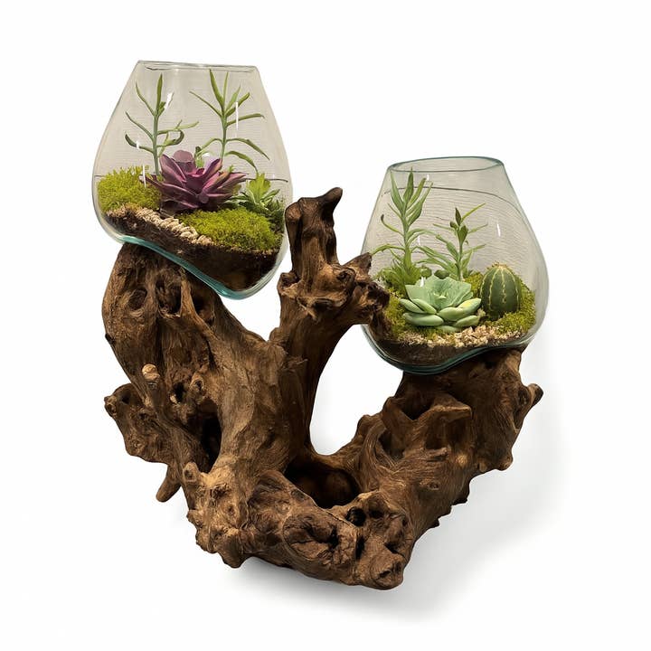Asia West - Wholesale Terrarium - Double Terrarium-Molten Glass on Wood3